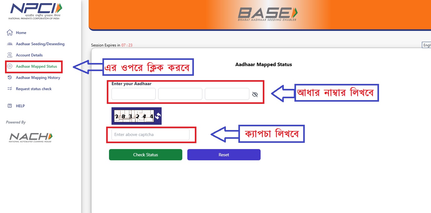 How To Check DBT Status 2025